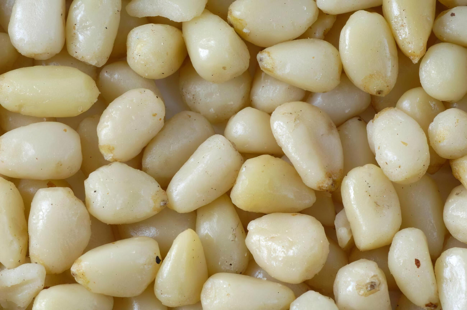 Quality-Determining Factors of Siberian Cedar (Pine) Nut Oil