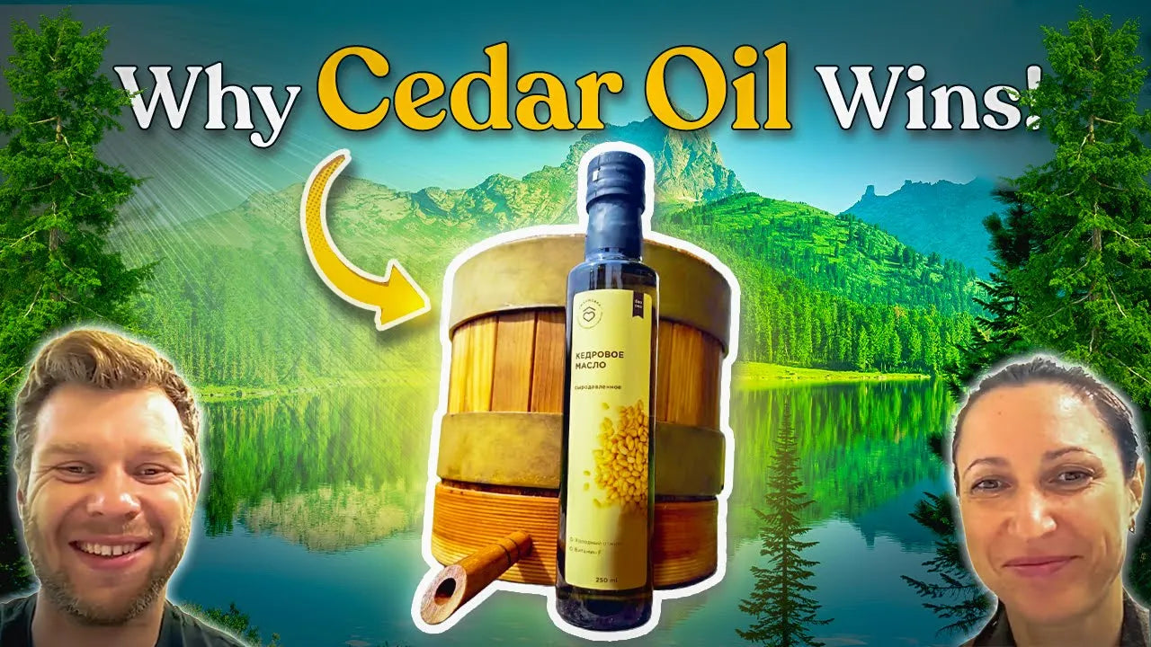 The Complete Guide to Authentic Siberian Cedar Oil: Meet Our Producers & An Inside Look at Traditional Production Methods